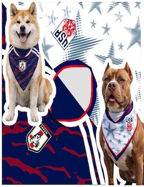 Pañuelo para mascota Mi pañuelo Mundial