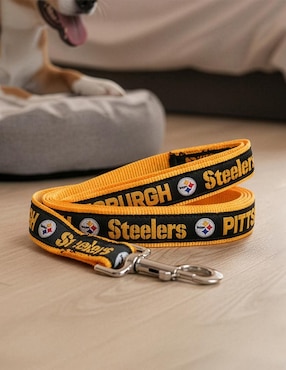 Correa NFL para perro