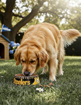 Plato para perro NFL