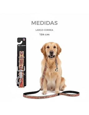 Correa NFL para perro