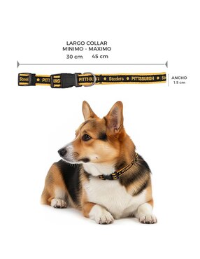 Collar NFL para perro