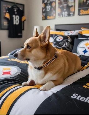 Collar NFL para perro