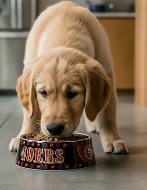 Plato para perro Nfl