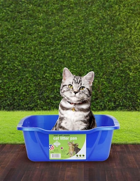 Arenero Vanness para gato