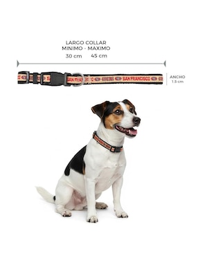 Collar NFL para perro