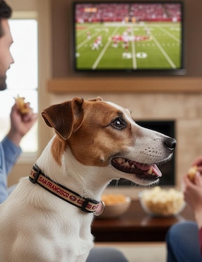 Collar NFL para perro