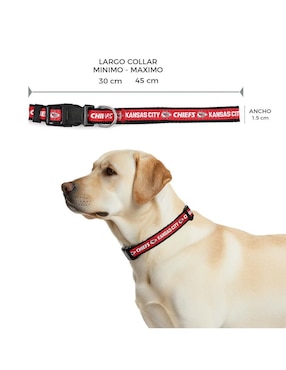 Collar NFL para perro