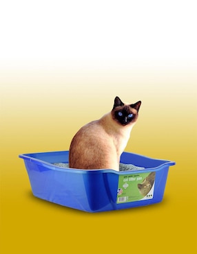 Arenero Vanness para gato
