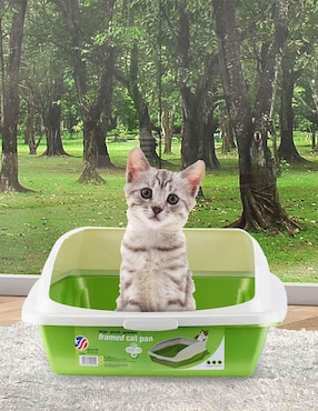Arenero Vanness para gato