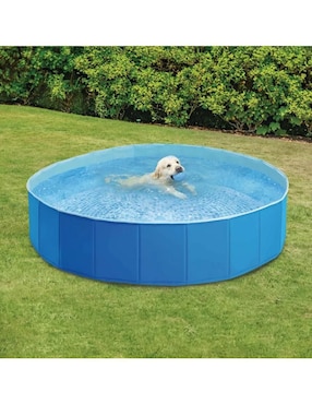 Alberca para mascota Intex