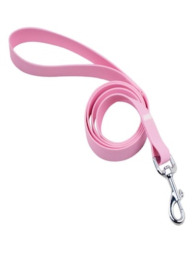 Correa y collar Ideen para perro