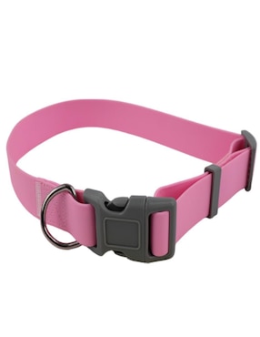Correa y collar Ideen para perro
