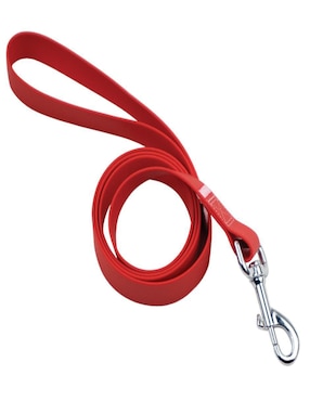 Kit de collar Ideen para perro