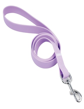 Kit de collar Ideen para perro