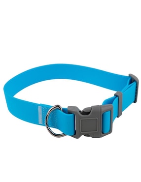 Kit de collar Ideen para perro
