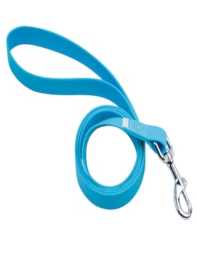 Kit de collar Ideen para perro