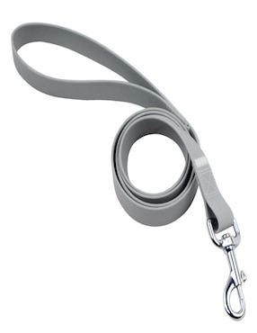 Kit de collar Ideen para perro