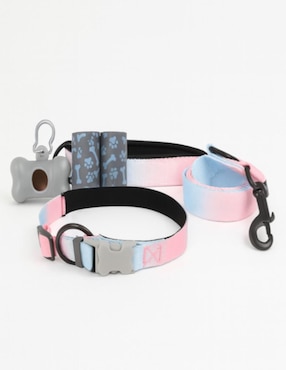 Kit de collar Ideen para perro