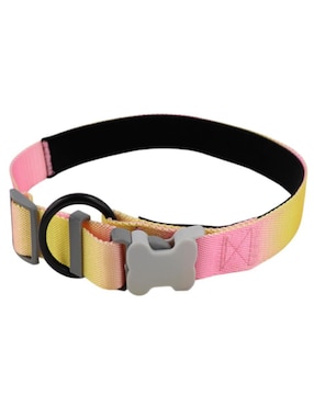 Kit de collar Ideen para perro