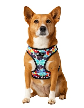 Arnés Petit para perro