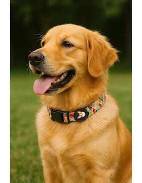 Collar Petit para perro