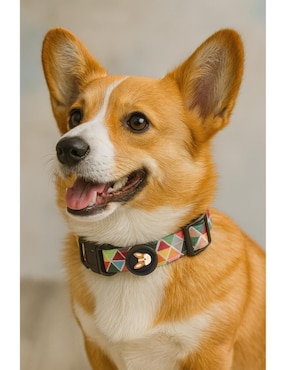 Collar Petit para perro