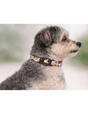 Collar Petit para perro