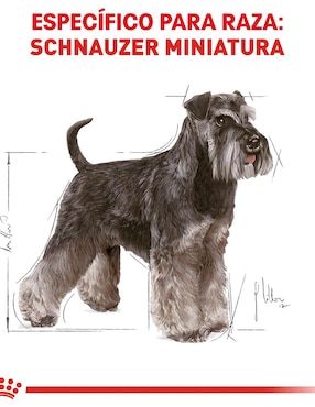 Croqueta Royal Canin de pollo para perro raza pequeña etapa adulto contenido individual 4.5 kg