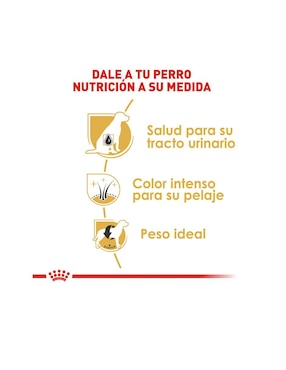 Croqueta Royal Canin de pollo para perro raza pequeña etapa adulto contenido individual 4.5 kg