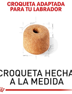 Croqueta Royal Canin de Pollo para adulto razas grandes contenido 13.6 kg