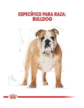 Croqueta Royal Canin de pollo para perro etapa adulto contenido individual 13.6 kg