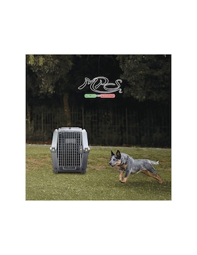 Transportadora para perro y gato Mps