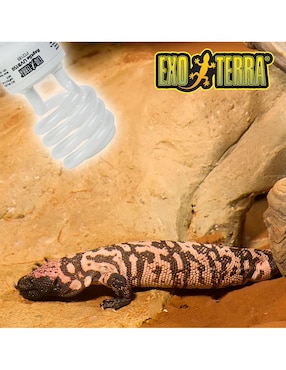 Foco para reptil Hagen Exo Terra Repti Glo
