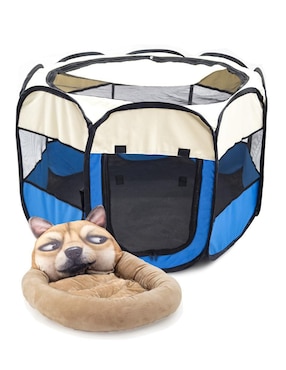 Kit Casa Y Cama Para Mascota Maxblue