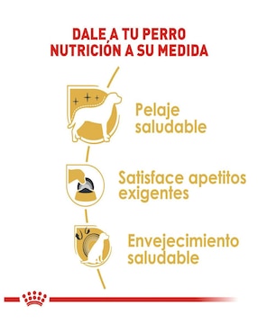 Croqueta Royal Canin de pollo para perro todas las etapas contenido individual 1 kg