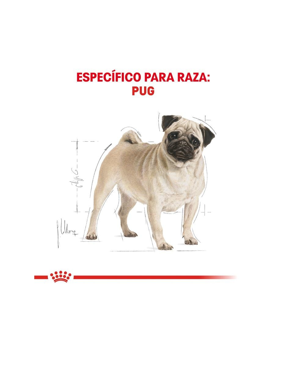 Croqueta de pollo para perro raza pequeña etapa adulto contenido individual 4.5 kg 2