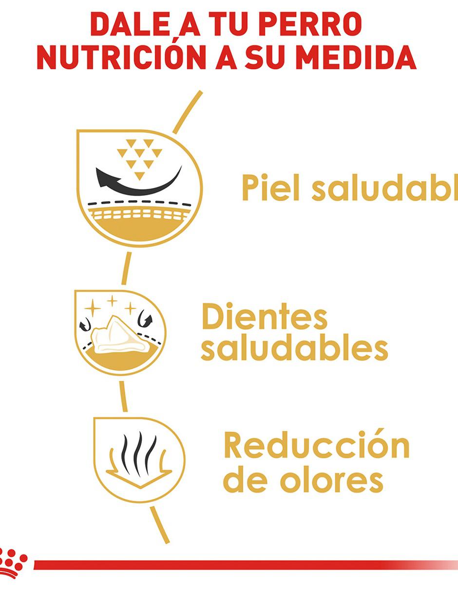 Croqueta de pollo para perro raza pequeña etapa adulto contenido individual 1 kg 4