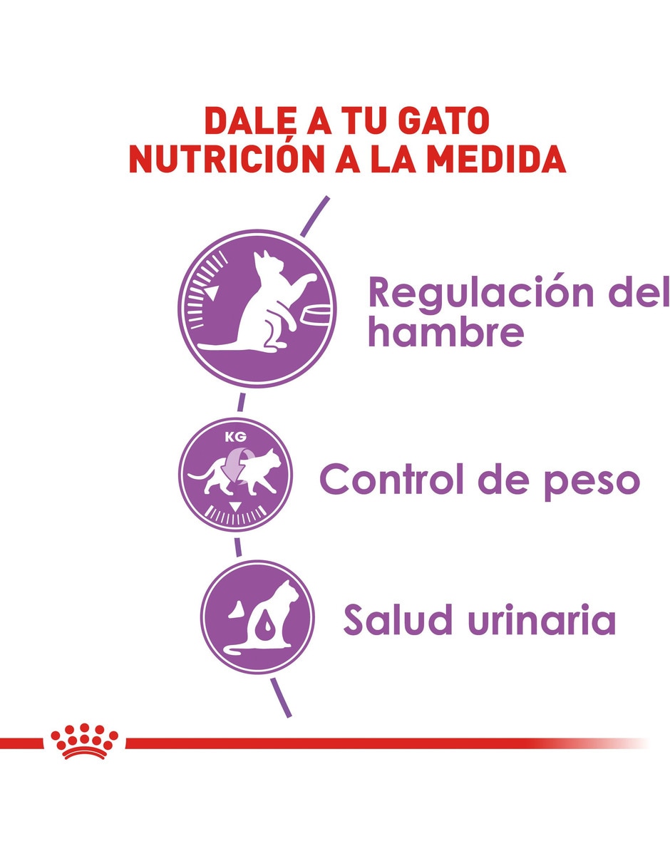 Croqueta de Pollo para gato etapa adulto contenido 2.7 kg 6