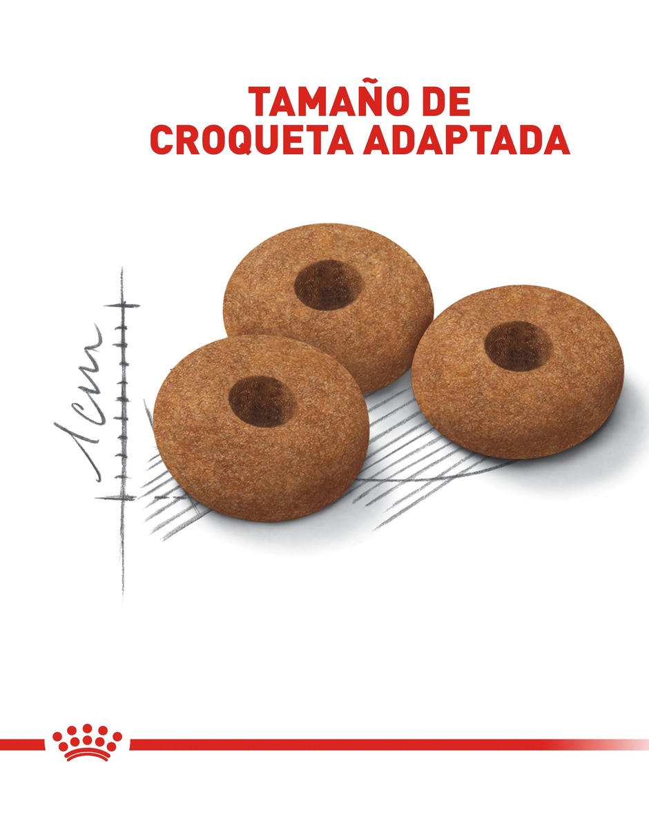 Croqueta de Pollo para gato etapa adulto contenido 2.7 kg 7