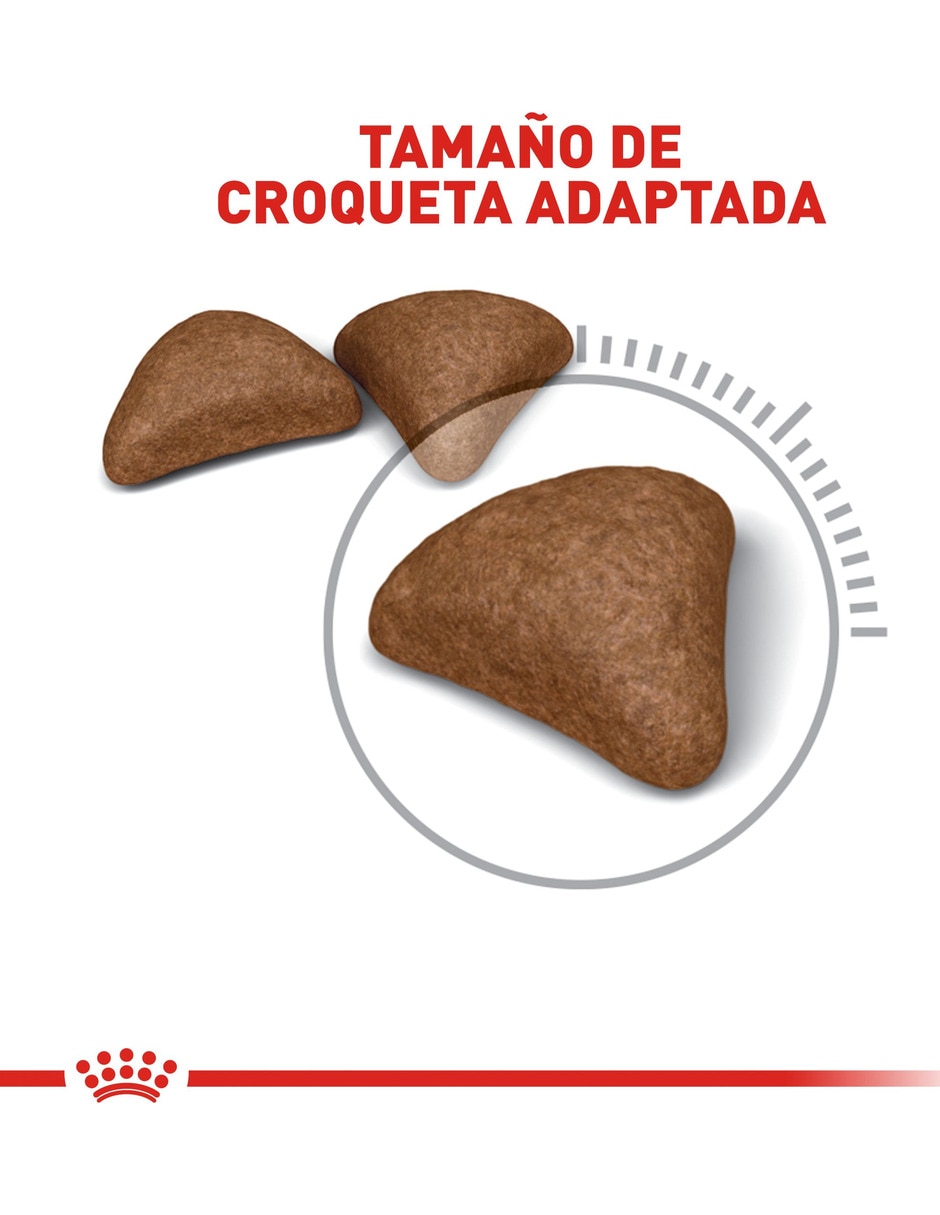 Croqueta de Pollo para gato todas las etapas contenido 2.7 kg 5