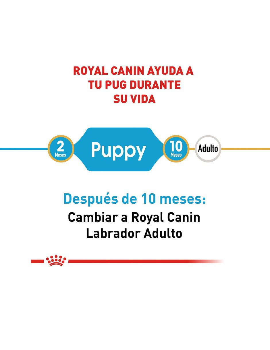 Croqueta de Pollo para perro etapa cachorro Raza pequeña contenido 1 kg 2