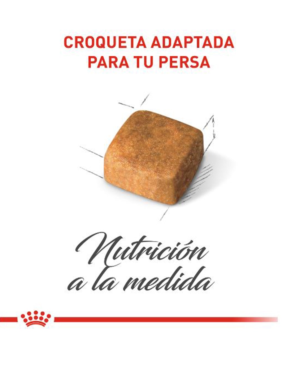 Croqueta de Pollo para perro etapa cachorro contenido 1.31 kg 6
