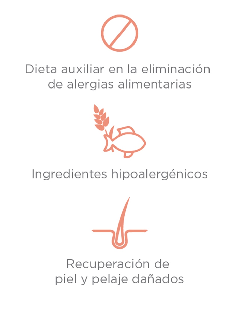 Croquetas para Perro 2 kg Adulto 2