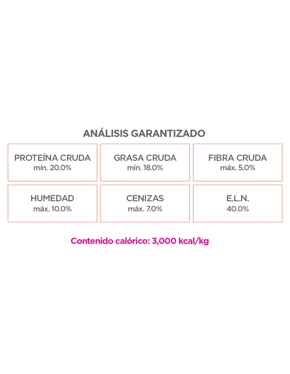 Croquetas para Perro 2 kg Adulto 3