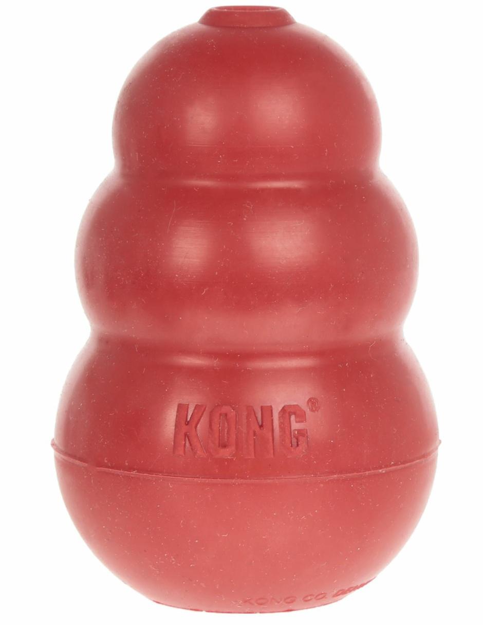 perro kong