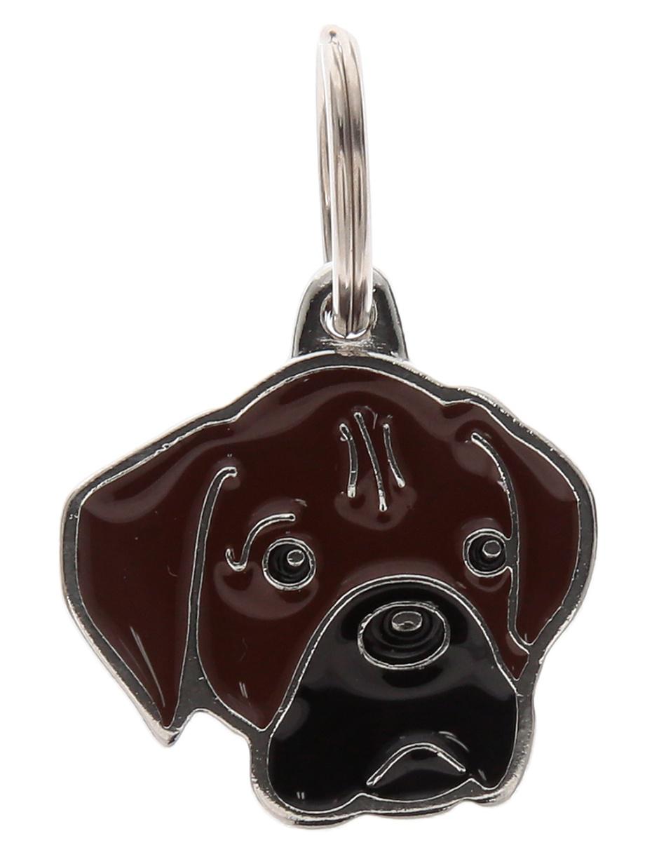 Placa de identificación para Perro chocolate 1