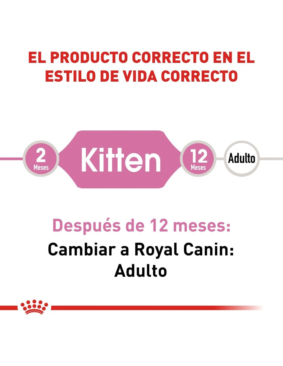 Croqueta de Pollo para gato etapa cachorro 4