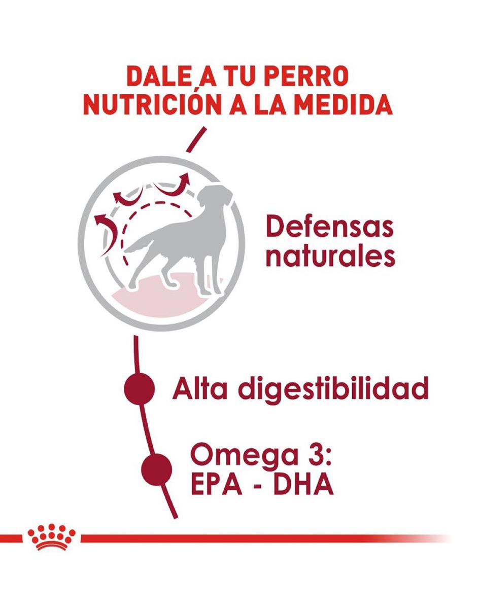 Croqueta de pollo para perro etapa adulto contenido individual 3