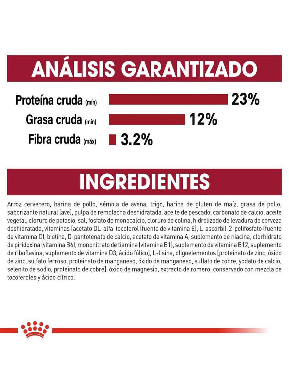 Croqueta de pollo para perro etapa adulto contenido individual 4