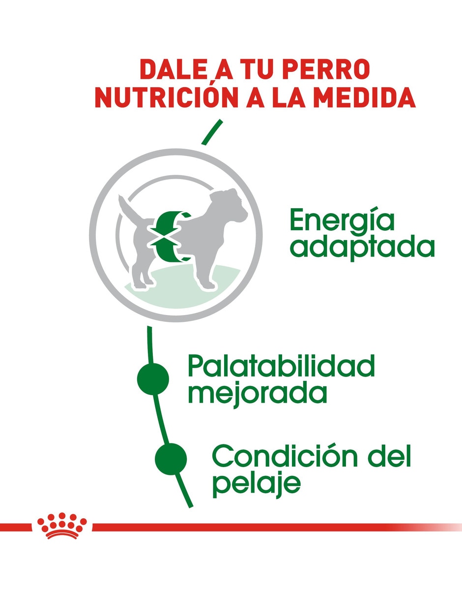 Croqueta de Pollo para perro etapa adulto Raza pequeña 5